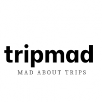 Tour Provider Logo